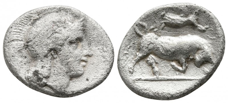 Lucania. Thourioi circa 281-268 BC.
Diobol AR

12mm., 1,19g.

Head of Athen...
