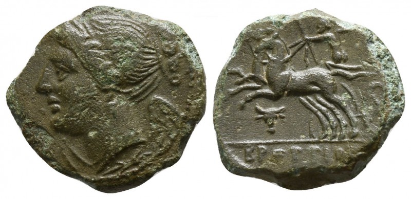 Bruttium. The Brettii circa 214-211 BC.
Unit AE

16mm., 2,65g.

Winged and ...