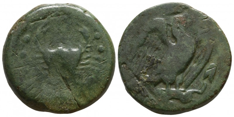 Sicily. Akragas circa 420-406 BC.
Hemilitron Æ

25mm., 15,73g.

Crab, unkno...