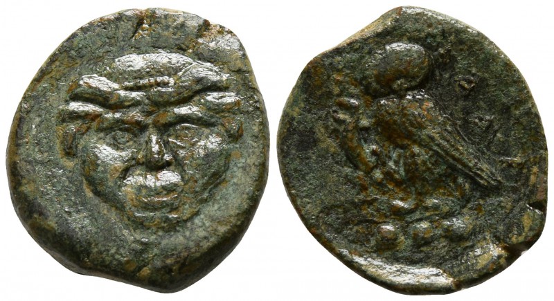Sicily. Kamarina circa 420-405 BC.
Tetras Æ

15mm., 2,69g.

Gorgoneion / Ow...