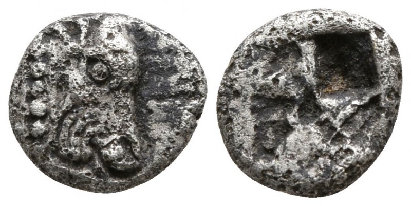 Macedon. Possibly Akanthos circa 500-400 BC.
Obol AR

7mm., 0,50g.

Head of...