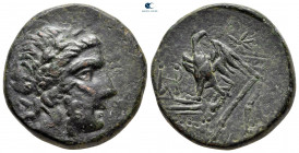 Cimmerian Bosporos. Pantikapaion circa 63-47 BC. Bronze Æ