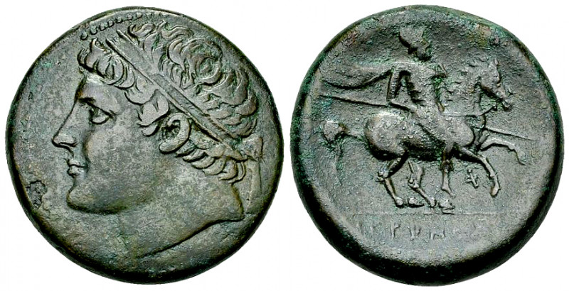 Hieron II AE Hemilitron 

Sicily, Syracuse. Hieron II (275-215 BC). AE Hemilit...