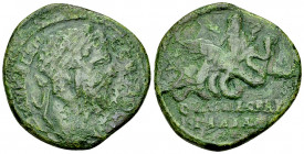 Septimius Severus AE Tetrassarion, Pautalia 

Septimius Severus (193-211 AD). AE Tetrassarion (29 mm, 12.66 g). Thrace, Pautalia.
Obv. ΑΥΤ Κ Λ CΕΠ ...