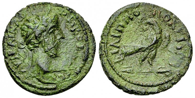 Commodus AE20, Philippopolis 

Commodus (177-192 AD). AE20 (3.90 g), Philippop...