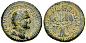 Vespasianus AE25, Apameia 

Vespasianus (69-79 AD). AE25 (12.13 g). Phrygia, Apameia. Plancius Verus, magistrate.
Obv. AYTOKPATΩP KAIΣAP ΣEBAΣTOΣ O...