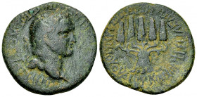 Vespasianus AE25, Apameia 

Vespasianus (69-79 AD). AE25 (9.26 g). Phrygia, Apameia. Plancius Verus, magistrate.
Obv. AYTOKPATΩP KAIΣAP ΣEBAΣTOΣ OY...