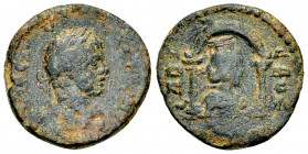 Elagabalus AE17, Laodicea ad Mare 

Elagabalus (218-222 AD). AE17 (3.40 g). Seleucis and Pieria, Laodicea ad Mare. 
Obv. [IMP C M AVR ANTONINVS], L...