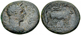 Hadrianus AE31, Caesarea Maritima 

Hadrianus (117-138 AD). AE31 (19.63 g). Judaea, Caesarea Maritima.
Obv. IMP TRA HADRIANO CAES AVG, Laureate, dr...