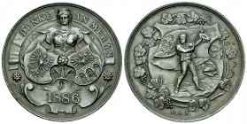 Meran, AE Medaille 1886 

Austria. Meran. AE Medaille 1886 (35 mm, 21.88 g), von G.A. Scheid. Auf die 50jährige Jubelfeier des Kurortes Meran.
Moro...