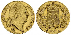 Louis XVIII, AV 20 Francs 1818 A, Paris 

France, Royaume. Louis XVIII (1815-1824). AV 20 Francs 1818 A (21 mm, 6.45 g), Paris.
 Gad. 1028.

Joli...