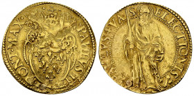 Paulus III, AV Scudo d'oro 

Stato Pontificio. Paulus III (1534-1549). AV Scudo d'oro (3.13 g).
Fr. 65.

Foro otturato. BB.
