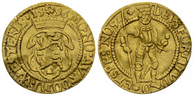 West Friesland AV Ducat 1596 

Netherlands. West Friesland. AV Ducat 1596 (22 mm, 3.38 g).
Fr. 291.

Very fine to extremely fine.
