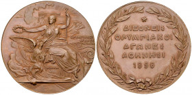 Athens 1896, Olympic Games AE Participant's Medal 

A Collection of Olympic Medals. Greece. The I. Olympiad, Athens 1896. AE Participant's Medal (50...