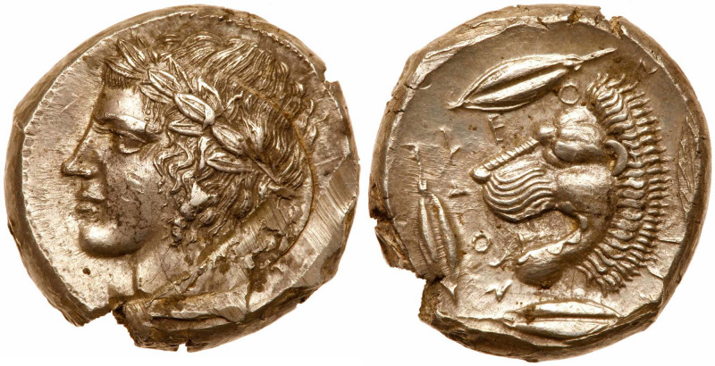 Sicily, Leontini. Ca. 466-425 BC. Silver Tetradrachm (17.4g). Laureate head of A...