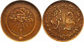 Germany. Halley's Comet Medal, 1910 (1920). NGC MS62
