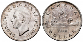 Canada. George VI. 1 dollar. 1938. (Km-37). Ag. 23,35 g. Minor scratches. Almost XF. Est...65,00. 

Spanish description: Canadá. George VI. 1 dollar...