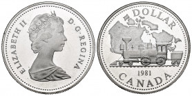 Canada. Elizabeth II. 1 dollar. 1981. (Km-130). Ag. 2341,00 g. PR. Est...20,00. 

Spanish description: Canadá. Elizabeth II. 1 dollar. 1981. (Km-130...