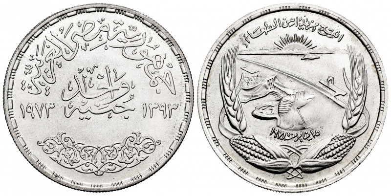 Egypt. 1 pound. 1393 H (1973). (Km-439). Ag. 24,75 g. Mint state. Est...30,00. ...