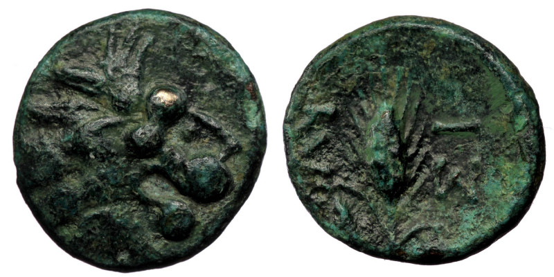 THRACE. Lysimacheia. Ae (Circa 225-199/8 BC). ( Bronze. 2.47 g. 16 mm)
Head of l...