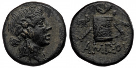 Pontos, Amisos. Time of Mithradates VI Eupator circa 120-63 BC, AE ( Bronze. 8.59, g. 22 mm)
Head of Dionysos right, wearing ivy wreath
Rev: AMIΣOV - ...
