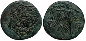 Pontos. Amisos. Time of Mithradates VI Eupator 120-63 BC. AE ( Bronze. 7.25 g. 23 mm)
Aegis with Gorgoneion in centre.
Rev: Nike advancing right, hold...