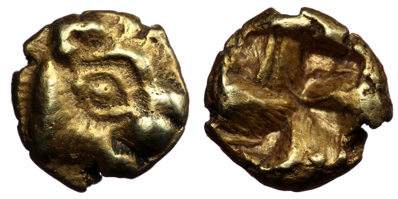 IONIA. Uncertain. Circa 600-550 BC. 1/24 Stater (Electrum, 0.61 g. 12 mm), 
Phok...