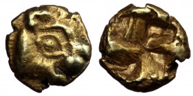 IONIA. Uncertain. Circa 600-550 BC. 1/24 Stater (Electrum, 0.61 g. 12 mm), 
Phokaic standard.
Head of a lionness to right. 
Rev. Incuse square. 
.Rose...