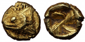 MYSIA, Kyzikos. Circa 600-550 BC. EL 1/24 Stater ( Electrum 0.64 g. 8 mm)
Head of tunny left
Rev: Incuse square. 
Hurter & Liewald III 1.3; Von Fritze...