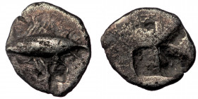 MYSIA, Kyzikos. Circa 500 BC. AR Obol (Silver. 0.54 g. 9 mm ).
Tunny left.
Rev: Quadripartite incuse square. 
Von Fritze II 5; SNG BN –; SNG von Auloc...