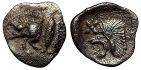 MYSIA, Kyzikos. Circa 450-400 BC. AR Hemiobol (Silver. 0.37 g. 10 mm). 
Forepart of boar left; to right, tunny upward.
Rev: Head of roaring lion left;...