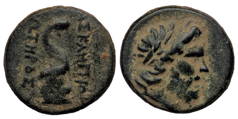 Mysia, Pergamon Æ 19mm. Circa 133-27 BC. ( Bronze. 7.85 g. 23 mm)
Laureate head ...