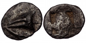 MYSIA. Kyzikos. Circa 550-500 BC. Tetartemorion (Silver, 0.35 g. 9 mm)
Head of a tunny right. 
Rev. Rough incuse square. 
Naumann 40 (2016), 176. Von ...