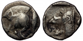MYSIA, Kyzikos AR Obol ca 525-475 BC ( Silver. 1.16 g. 12 mm)
Forepart of boar to left, a tunny on right
Rev: Head of a roaring lion facing to left, w...