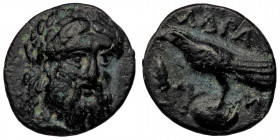 MYSIA. Adramytteion circa 400-300 BC. AE ( Bronze. 1.68 g. 13 mm )
Laureate head of Zeus facing slightly right / AΔΡΑ Y M eagle standing left; grain e...