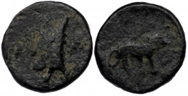 Kings of Sophene. Arkathiocerta. Mithradates I 150-100 BC. Chalkous AE ( Bronze. 1.82 g. 13 mm)
Draped bust of Mithradates I to left, bearded and wear...