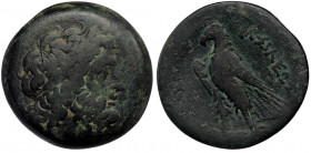PTOLEMAIC KINGS of EGYPT. Unidentified king. AE ( Bronze23.65 g.31 mm)
Laureate head of Zeus right / Eagle standing left on thunderbolt;
