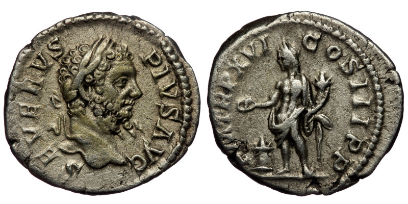 Septimius Severus (193-211) AR Denarius (Silver, 20mm, 3,36g) Rome, 207 
Obv: SE...