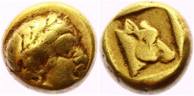Ancient Greece Lesbos Mytilene EL Hekte 454 - 427 BC
Bodenstedt 56; Gold 2.54 g.; Obv: Laureate head of Apollo right / Rev: Cow's head right in incus...
