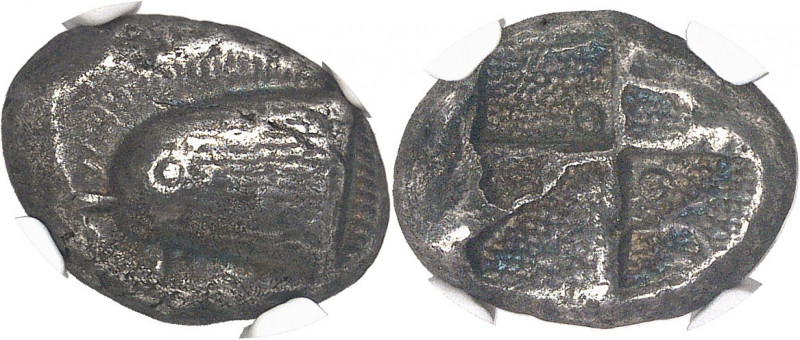 Paphlagonie, Sinope. Drachme ND (490-425 av. J.-C.), Sinope.
NGC XF 5/5 4/5 (57...