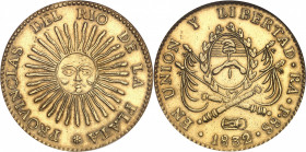 Confédération argentine (1831-1861). 8 escudos 1832/1, RA, Rioja.
NGC MS 64 WINGS (1907762-004).
Av. * PROVINCIAS DEL RIO DE LA PLATA. Soleil visagé...