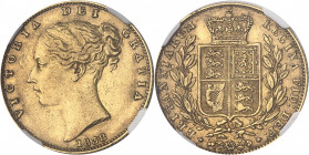 Victoria (1837-1901). Souverain 1838, Londres.
NGC AU 53 (5780842-023).
Av. VICTORIA DEI GRATIA. Tête diadémée à gauche, signature W. W, au-dessous ...