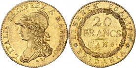 Gaule subalpine (1800-1802). 20 francs Marengo An 9, Turin.
NGC AU 58 (5782534-029).
Av. L'ITALIE DELIVRÉE À MARENCO. Buste drapé à gauche de la Rép...