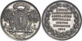 Second Empire / Napoléon III (1852-1870). Jeton de l’Union Mauricienne, assurances mutuelles contre l’incendie 1863, Paris.
PCGS MS62 (42254616).
Av...