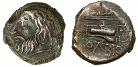 Ancient coins
RÖMISCHEN REPUBLIK / GRIECHISCHE MÜNZEN / BYZANZ / ANTIK / ANCIENT / ROME / GREECE

Greece, Olbia, AE 20, 310 - 300 BC. 

Patyna.Fr...