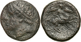 Ancient coins
RÖMISCHEN REPUBLIK / GRIECHISCHE MÜNZEN / BYZANZ / ANTIK / ANCIENT / ROME / GREECE

Greece, Sicily Syracuse AE 26 Hieron II 275 - 215...