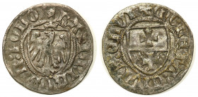 Medieval coins
POLSKA / POLAND / POLEN / SCHLESIEN / GERMANY

Kazimierz IV Jagiellończyk (1447-1492). Szeląg, Elblag - RARE 

Aw.: Na tarczy ukor...