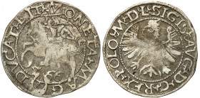 Sigismund II August
POLSKA/ POLAND/ POLEN/ LITHUANIA/ LITAUEN

Zygmunt II August. Półgrosz 1566, Tykocin - RARITY R5 

Wariant z dużym herbem Jas...