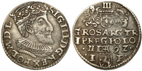 COLLECTION of Polish 3 grosze
POLSKA/ POLAND/ POLEN/ LITHUANIA/ LITAUEN

Zygmunt III Waza. Trojak (3 grosze) 1592, Olkusz 



Details: 2,33 g A...