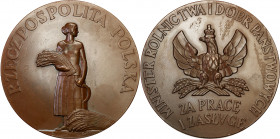 Medals and plaques
POLSKA/ POLAND/ POLEN / POLOGNE / POLSKO

II Republic of Poland. Medal undated (1926) of the Ministry of Agriculture for work an...